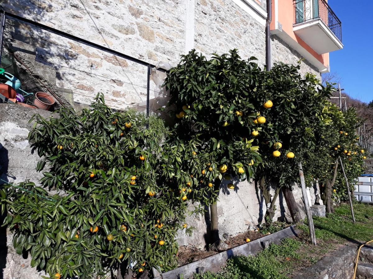 Apartamento Casa Ai Castelli Cannobio Exterior foto